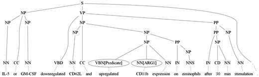 An example sentence with incorrect syntactic tree where two verbs ‘downregulated’ and ‘upregulated’ are in the sentence.