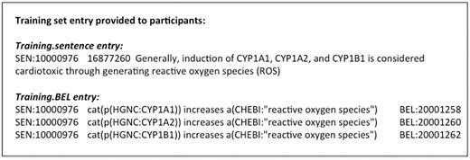 Training data example.