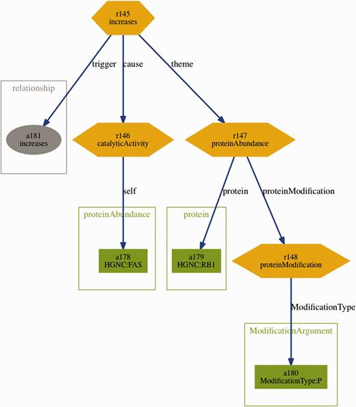 Visualization of the BEL statement ‘ cat(p(HGNC:FAS)) increases p(HGNC:RB1,pmod(P)) ’ derived from the sentence ‘Fas stimulation of Jurkat cells is known to induce p38 kinase and we find a pronounced increase in Rb phosphorylation within 30 min of Fas stimulation’.