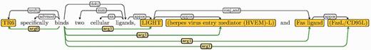 Sample EDGs with coordination and apposition.