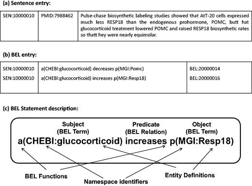 (a) Sample sentence from the BEL Track training corpus. (b) BEL statements corresponding to the sample sentence. (c) Representation of BEL statement derived from the sample sentence (a). The BEL statement describes that the abundance of chemical compound designated by ‘glucocorticoid’ in the CHEBI namespace increases the abundance of protein designated by ‘Resp18’ in the MGI namespace.