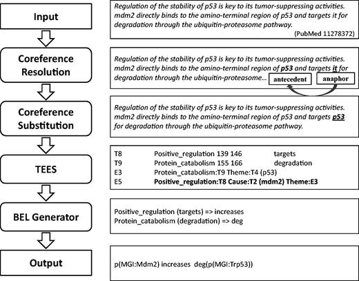 Workflow of our system for producing BEL statements from input text with examples.