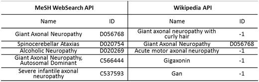 An example of DN for a DM axonal neuropathy using dictionary look-up.