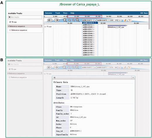 Snapshots of the Jbrowse tool of DPTEdb. (A) Genome sequence view of a region in scaffold ABIM01024572.1 from C. papaya . (B) Detailed information of the TE DHHelitron_1_147_cpa in the graphic interface.