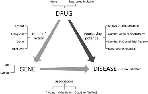 Drug repurposing by the transitive triad of drug, gene and disease. Through the target gene of the drug, new treatment indications can be suggested for an existing drug. This figure shows fields available in ‘RE:fine Drugs’ advanced search.