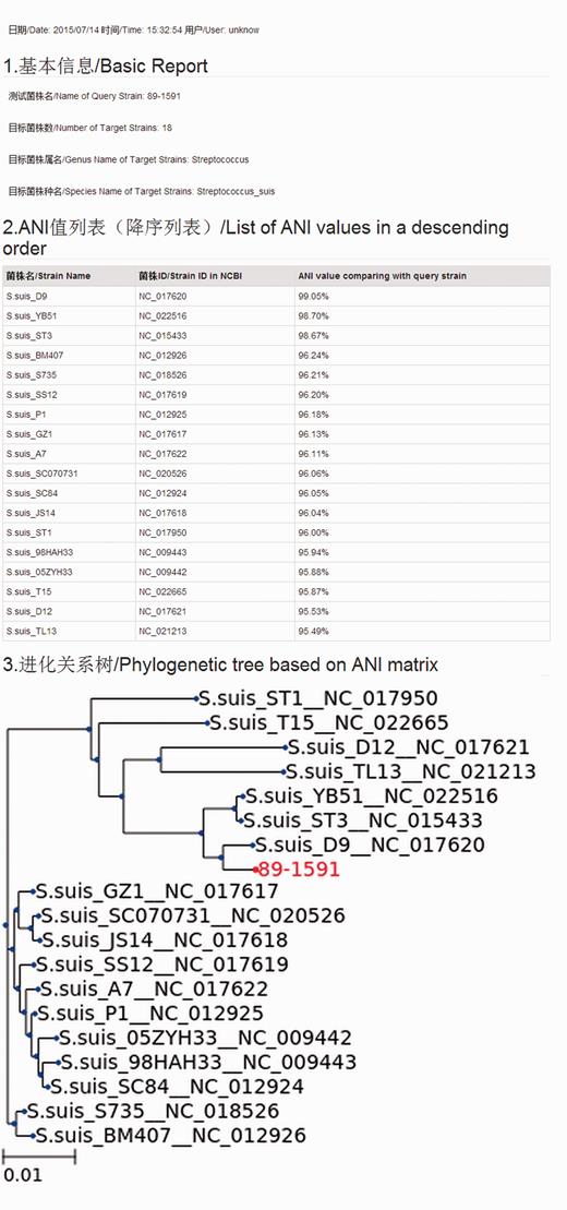 Interface of the report page. All information are shown in two languages: Chinese and English.