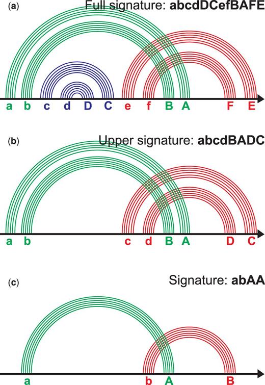 Signature of the pseudoknotted ECR. ( a ) The ECR contains six stems; each stem is labeled with a letter (see the text). The word abcdDCefBAFE composed of such letters is a full signature of the pseudoknot. ( b ) The nested stems named cC and dD at (a) are removed. The letters for the remaining stems are reassigned. The word abcdBADC is an upper signature of the pseudoknot. ( c ) We combine each family of parallel stems into one arc. The letters are reassigned. The word abAB is a signature of the pseudoknot. The figure is prepared after the site www.e-rna.org .