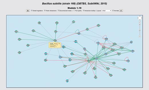 Interactive network panel for module 1.19 of our meta-curation of B. subtilis 168. For a description of the meaning of different line-styles and colors, please refer to the section ‘Interactive network panel’ in the main text.