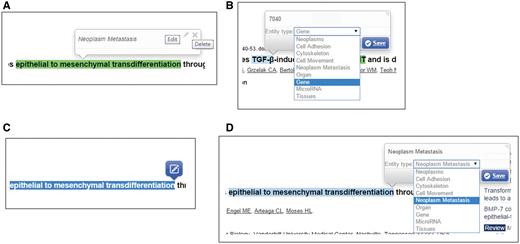 Curation interface for concept annotation.