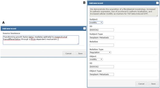 Curation interface for adding source sentences and relations.