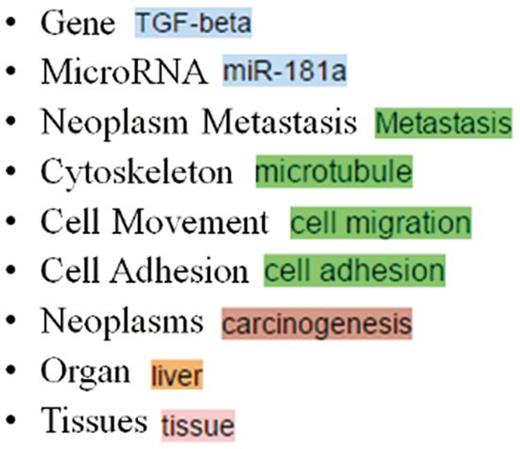 The colors used for different concept types in MET.