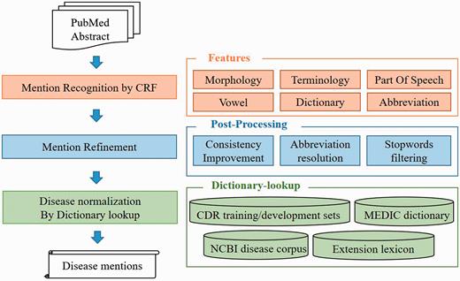 The overall architecture of the AuDis.