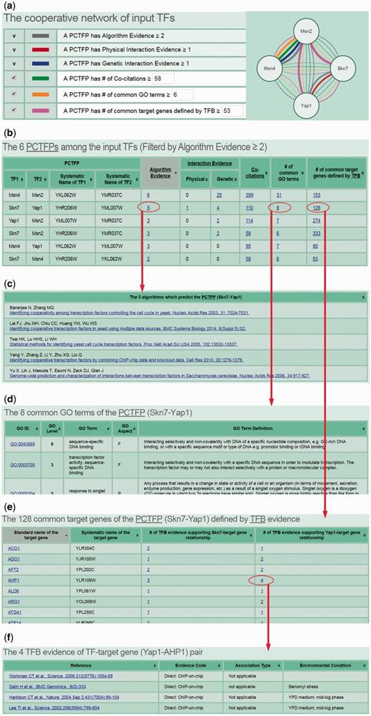The results of the first search mode. (a) After submission, CoopTFD returns a figure showing a cooperative TF network containing all PCTFPs among the input TFs. (b) A table is given listing five types of validation information of each PCTFP in the cooperative TF network. (c) When clicking on the number in the column of ‘Algorithm Evidence’, it opens a webpage showing the details of the algorithms. (d) When clicking on the number in the column of ‘# of common GO terms’, it opens a webpage showing the names of the common GO terms. (e) When clicking on the number in the column of ‘# of common target genes defined by TFB’, it opens a webpage showing the names of the common target genes and the numbers of the TF binding (TFB) evidence that experimentally validate the TF-target gene relationship. (f) When clicking on the number in the column of ‘# of TFB evidence’, it opens a webpage showing the publications which provide the TFB evidence.