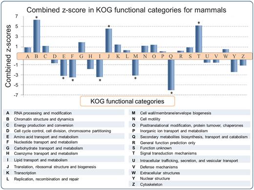 SEG/MEG proportion in different KOG functional categories for mammals, represented as a combined z-score from multiple tests (mammals). A high dimensional analysis of all categorized sequences from SinEx DB shows that, in mammals, CDSs with predicted functions related to chromatin structure (B), signal transduction mechanisms (T) and translation (J) are enriched in SEGs (high proportion of SEGs to MEGs), whereas CDSs with predicted functions related to envelope biogenesis, amino acid, nucleotide, secondary metabolites and lipid metabolism have the lowest SEGs to MEGs proportion. The P value was obtained using the Pearson’s chi-squared test and corrected by Sidak multiple testing method (31). Asterisk indicates statistical significance, P < 0.05.