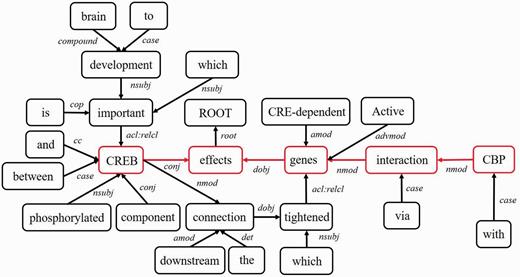 The dependency graph of the example sentence.