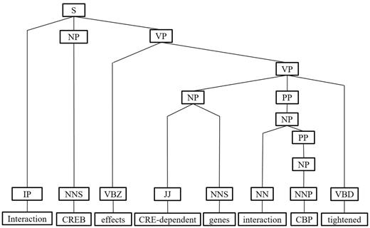 The ornamenting operation of IPT of the example sentence.