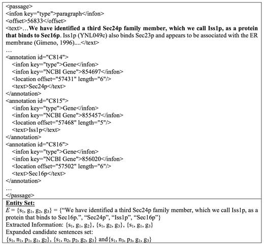 An example of expanded candidate sentence extraction.