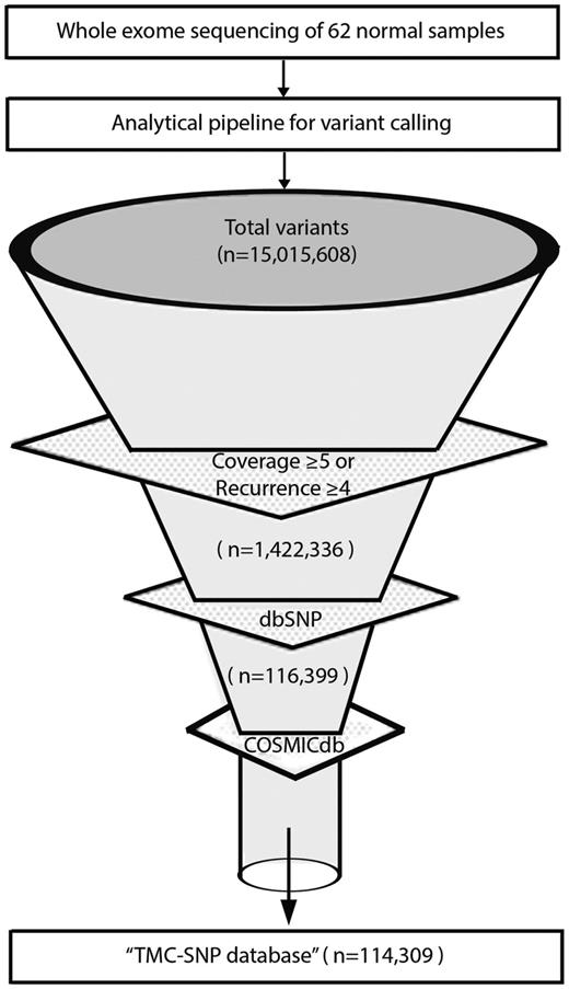 Development of TMC-SNPdb using whole exome sequencing. Schematic flow representation of steps followed during development of TMC-SNP database. The whole exome sequencing of 62 normal tissue obtained from three different tissues of cancer patients was performed and analysed using GATK (Genome Analysis Tool Kit) to generate VCF files. Raw variants obtained were further filtered using mentioned criteria to find a list of variants absent in dbSNP v142 and COSMICdb v68. Remaining variants constitutes the ‘TMC-SNPdb’ shown at the end of the funnel.