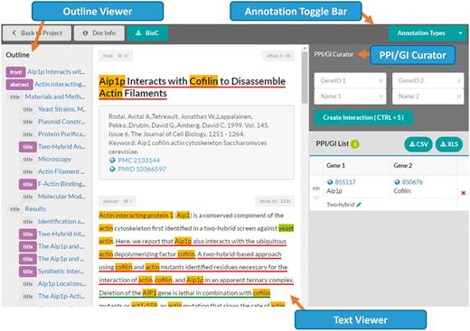 Document viewer in the ‘BioGRID’ mode . The document viewer consists of four main parts: the Annotation Toggle Bar (top), the outline viewer (left side), the text viewer (center) and the PPI/GI curator (right side). The PPI/GI curation tool is only available in the ‘BioGRID’ mode.