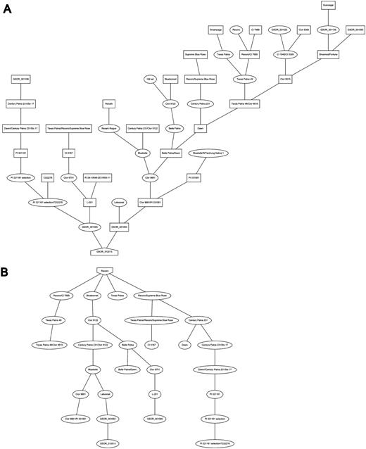 Pedigree and descendent display: A, Pedigree of cultivar “Cypress” and B, descendants of the cultivar “Rexoro” as displayed on the accession detail view.