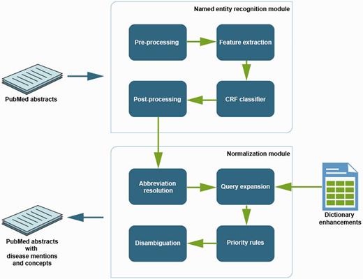 Overview of methods to extract disease information from the text.