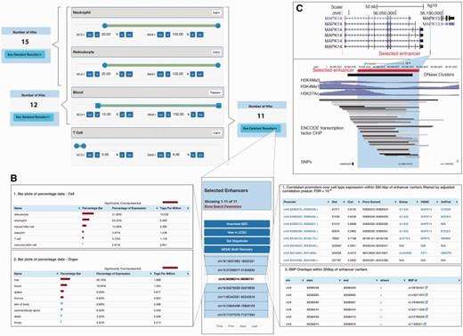 Example of selection of
tissue-specific enhancers. The selection of genes, proteins or
miRNAs based on expression or abundance works similarly. (A) Selection of cell/tissue-specific enhancers based on
sliders: Sliders for neutrophils, reticulocytes and T
cells as well as whole blood are shown (out of a total of 69 cell +
41 tissue sliders, where slides that are not shown are set to
defaults = no constraints). The number of selected enhancers
obtained from moving sliders is shown in blue boxes. Selecting a
minimum expression contribution of 20% from neutrophils and
reticulocytes results in 15 enhancers. If also requiring ≥15%
expression from blood, the number of enhancers decreases to 12.
Sliders also allow for negative selection, allowing at maximum only
a certain amount of expression from a cell type: this is done by the
right slider handle, exemplified by permitting at maximum 5% T-cell
expression. The 11 enhancers resulting from the overall selection
are shown in panel B. (B) Detailed expression of selected
enhancers. Middle: Overview of the
enhancers selected in panel A. The highlighted enhancer serves as an
example for data in left and right panels. Left:
Detailed expression data across all FANTOM5 samples for each
enhancer for tissues/organs and primary cells. Right: SNP overlap and predicted
promoter–enhancer associations of selected enhancers. Note that not
all data present in the web tool is shown. (C) UCSC browser
views of the enhancer region highlighted in panels B. Upper panel shows the larger gene landscape, including the MAPK14 gene linked to the enhancer highlighted
in panel B. Lower panel shows a zoom-in.