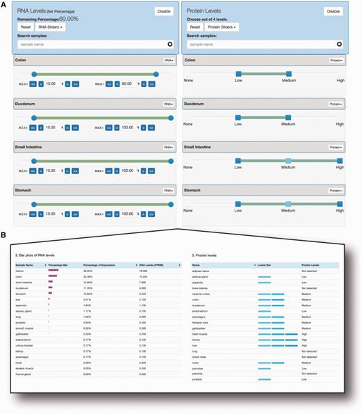 Dual selection of RNA and protein
levels using sliders. (A) Slider-based selection of RNA and
protein levels. Using data from the Human Protein
Atlas, SlideBase uses pairs of sliders for RNA levels (left) and
protein levels (right). Simultaneous constraints on matched tissues
on RNA and protein level can be applied, and the resulting number of
genes is updated in real time. The sliders work as in Figure 1, but based on the
nature of the underlying data, protein levels are divided into four
set categories. (B) Example of output from the search
constraints in panel A. RNA expression and protein
abundance are shown in left and right panel, respectively. Note that
all output is not shown due to size constraints (in total, data from
32 and 45 tissues for RNA and protein levels, respectively, are
available).