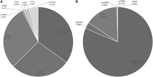 (A) Gene type composition of GeneBase 1.1 Human entries for a total of 59 801 genes and (B) for 22 451 ‘REVIEWED’ or ‘VALIDATED’ genes with at least one ‘REVIEWED’ or ‘VALIDATED’ transcript (genes not in current annotation release are excluded). Gene type labels are derived from ‘Gene_Type’ field of GeneBase 1.1 Human ‘Gene_Summary’ table as annotated in NCBI Gene as follows: protein-coding, pseudo (pseudogenes), ncRNA (non-coding RNA), snoRNA (small nucleolar RNA), snRNA (small nuclear RNA), rRNA (ribosomal RNA), tRNA (transfer RNA), ‘other’ and ‘unknown’.