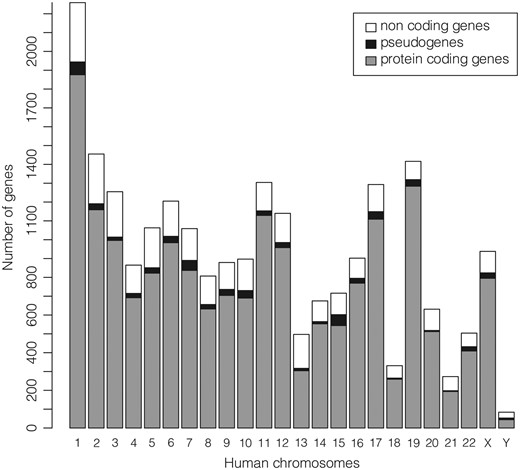 Number of ‘REVIEWED’ or ‘VALIDATED’ genes with at least one ‘REVIEWED’ or ‘VALIDATED’ transcript in GeneBase 1.1 Human (genes not in current annotation release are excluded) divided in protein-coding genes, pseudogenes and non-coding genes (which include genes for ribosomal RNAs, small nucleolar RNAs, small nuclear RNAs and non-coding RNAs) for each human chromosome. See Table 1 and Supplementary Table S2 for more details.