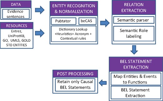 System architecture.