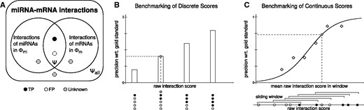 Toy example describing the benchmarking and scoring scheme. (A) A true positive (TP) interaction is depicted as a black dot and represents a miRNA–mRNA pair found in the gold standard; a false positive (FP) interaction is depicted as a white dot and comprises interactions where the miRNA and mRNA constituents are in the gold standard, but their pair is not. Interactions where the miRNA or the mRNA were not part of the gold standard are depicted as gray dots. Only TP and FP interactions are used to establish the transfer function, which subsequently is applied to assign confidence scores to all interactions. (B) A discrete transfer function is established as the fraction of correctly predicted interactions in each of the discrete raw score bins. (C) A continuous transfer function is established based on the TP and FP interactions found in sliding windows. The mean raw interaction score and fraction of correctly predicted interactions were computed for each window, followed by the fitting of a sigmoid transfer function.