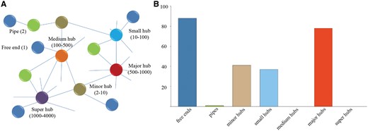 (A) Different categories of proteins classified according to our previous study. (B) Frequency distribution of the different categories in P. expansum. Value is the average of protein interactions from seven species.