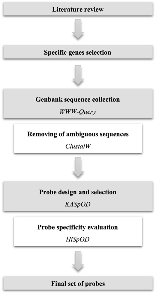 Overview of the database construction workflow.
