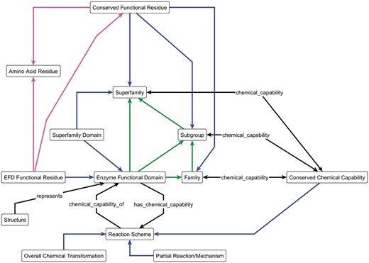 The key components of the ESFO Schema, the central concept of which is the enzyme functional domain (EFD) and its relationships to the SFLD hierarchy. The blue arrows represent the ‘component_of’ relationship; green arrows represent the ‘member_of’ relationship and the magenta arrows represent the ‘is_a’ relationship. All other arrows are labelled with the relationship type. The double-headed chemical_capability arrows represent both the ‘chemical_capability_of’ and ‘has_a_chemical_capability’ relationships, as shown in full for the ‘Reaction Scheme’ and ‘Enzyme Functional Domain’ terms.