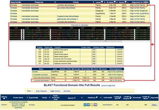 Screenshots of a query using a mandelate racemase subgroup sequence that is in the SFLD but not yet placed into a family (UniProtKB:Q6L1T2). Showing the results for the HMM search (top) and BLAST search (bottom) with the alignment of the query sequence to the highest-scoring family (middle) with the conserved family residues highlighted with a white background; the query sequence is at the bottom of the alignment panel.
