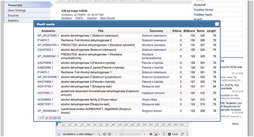 Basic Local Alignment Search Tool summary popup.