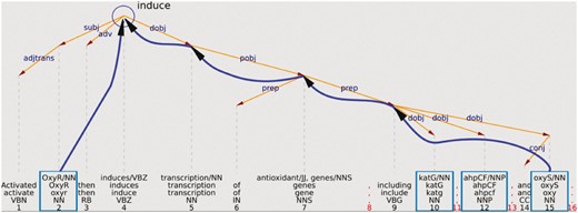 Example of using the syntactic structure to validate a potential relationship.