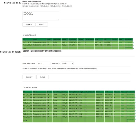 The searching interface of GrTEdb. Users can use a keyword to locate specific TEs quickly in GrTEdb (e.g. TE ID, Class, Order, Superfamily and Family). The search results can be viewed and downloaded by clicking the hyperlinks provided on the page.