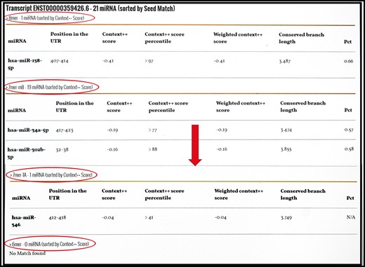 miRnalyze predicts miRNA based on seed match region as 8mer > 7mer-m8 > 7mer-A1 > 6mer (circle). For each of the seed match group, web tool arranges the miRNAs based on the Context ++ score (arrow).