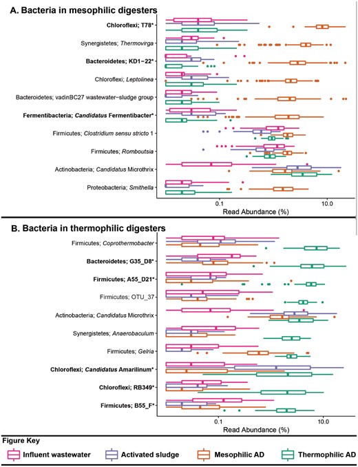 Box plot for the distribution of the 10 most abundant bacterial genus-level-taxa by median abundance in A. mesophilic and B. thermophilic anaerobic digesters. Amplicon abundance values (V1-3 region) are given as a percentage of total bacterial reads for the influent wastewater, activated sludge and anaerobic digester communities (19). *Novel MiDAS genus level taxa are given in bold.