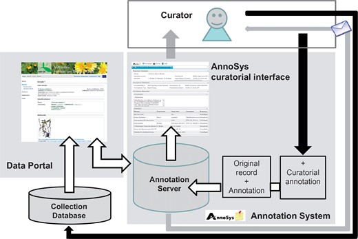 AnnoSys workflow. White arrows: user actions; dark gray arrows: data flow; light gray arrows: mailing system.