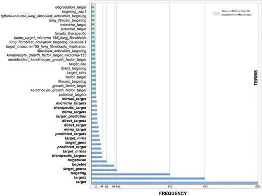 Terms used to find miRNAs and their target genes.