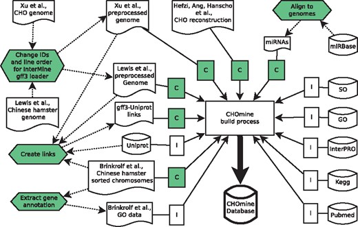 CHOmine building pipeline. Automatically downloaded files or links for every new CHOmine version. File published or created in a preprocessing step. CHOmine specific preprocessing steps. CHOmine specific data loader. InterMine data loader. Dashed arrows indicate preprocessing steps. All other arrows indicate CHOmine building steps.