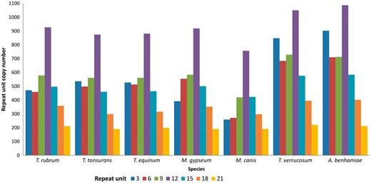 Distribution of tandem repeats according to repeat unit length (nt).