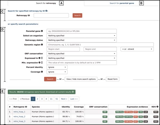 Search form that allows the user to search for either retrocopies (A) or parental genes (B), using Retrocopy ID or Ensembl accession number (C), or specifying various search parameters (D). The results are displayed at the bottom of the page (E).