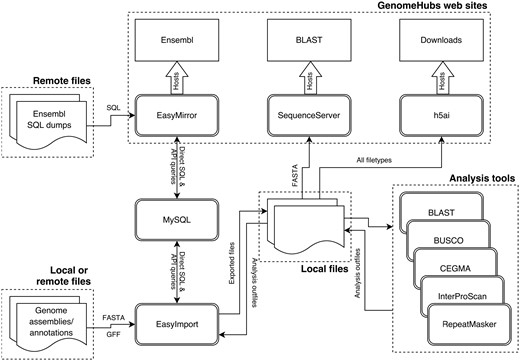 Schematic diagram of GenomeHubs containers and data flows.