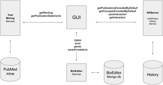 Architecture of the neXtA5 implementation in the BioEditor.