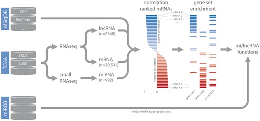 Schematic overview of the analysis workflow and the online repositories used (CGP = chemical and genetic perturbations, BRCA = breast invasive carcinoma, LUSC = lung squamous cell carcinoma).
