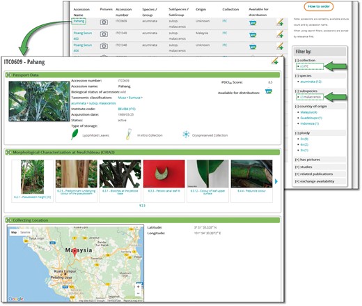 Accession search and accession page. A list of accessions can be filtered by a wide range of parameters automatically updated with a number of elements. A typical accession page displays various sections such as passport data, previous location and collecting sources, genetic integrity, morphological and molecular characterization and publications.