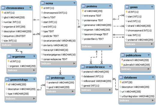 The generic LeishDB entity-relationship model. The DDL (Data Definition Language) and DML (Data Model Language) codes for this database can be downloaded at www.leishdb.com.